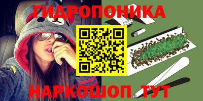 индика Балашиха