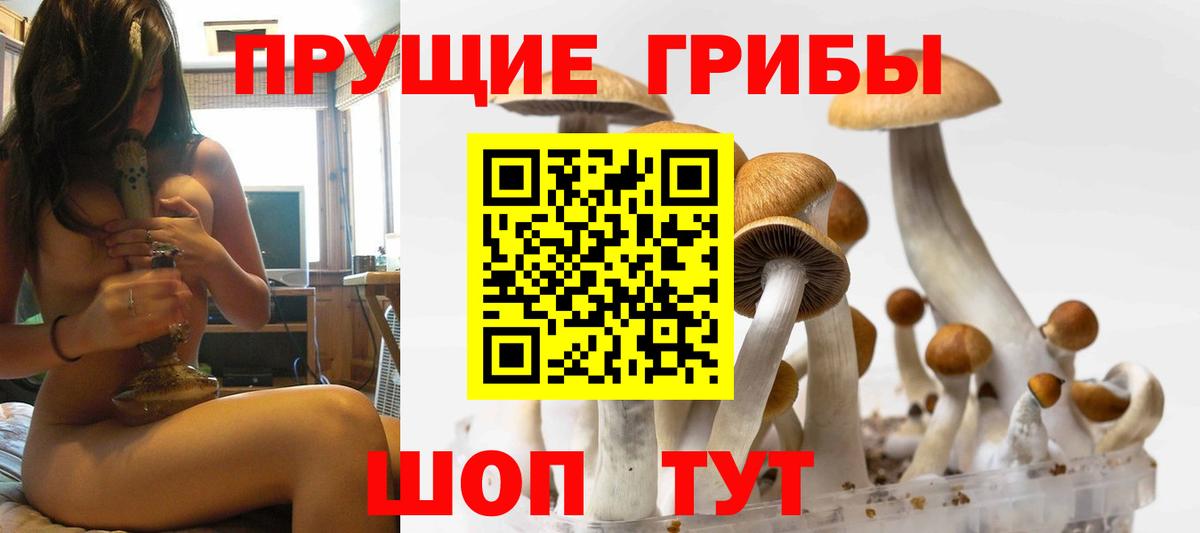 Псилоцибиновые грибы Magic Shrooms  где продают наркотики  Волжский  Галлюциногенные грибы GOLDEN TEACHER  Вход с VPN 