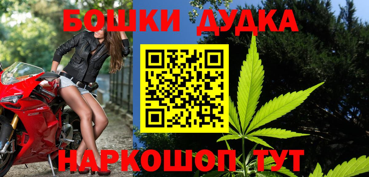 Канабис планчик Волжский